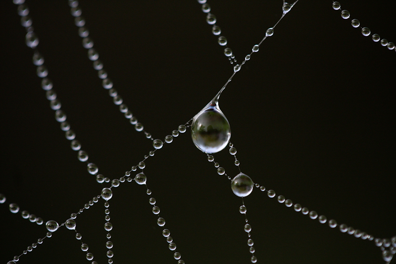 droplets72